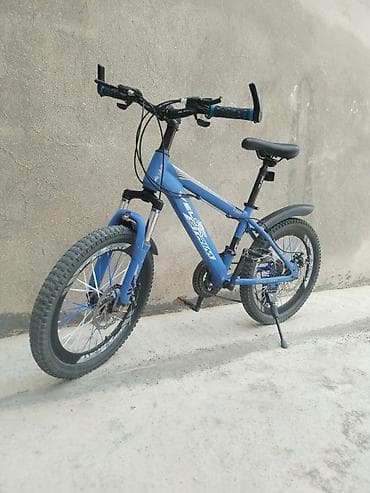 velosiped: Uşaq/yeniyetmə üçün dağ velosipedi – 20 düym - Rəng: mavi - Alüminium — 1