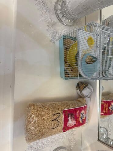 İtlər: Digər heyvanlar — 3