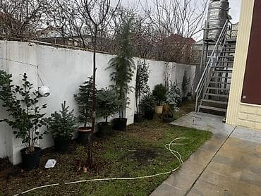 Гаражи: 4 комнаты, 400 м², Нет кредита, Свежий ремонт — 6