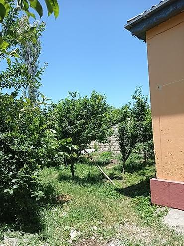 ev alqi satqi kiraye: 100 kv. m, 2 otaqlı, Qaz, Su, Telefon — 10