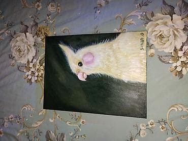 gözel profil sekilleri: Akril tablo – nimfa tutuquşusu portreti ketan tablodan hazırlanıp — 4