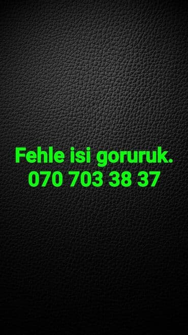 Разнорабочие: Fehle isleri goruruk. 2 ve 3 nefer oluruq ise gore. ise baxib — 1