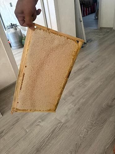 sandık: Təbii şan balı – çərçivədə Məhsul təsviri: - Arı pətəyindən — 1