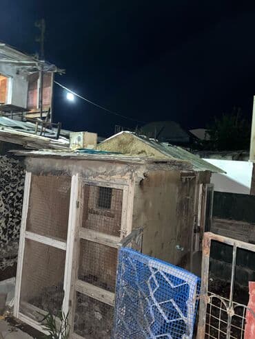 Salam qrub əlhli belə quşxana satılır uzunu 2.50 eni 1.70 hunduruyu lalafo.az -da Salam qrub əlhli belə quşxana satılır uzunu 2.50 eni 1.70 hunduruyu