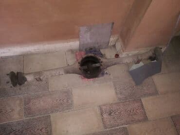 Moskvic mostun culoku poıostari ustunde.normaldi eyridi vati yoxdu