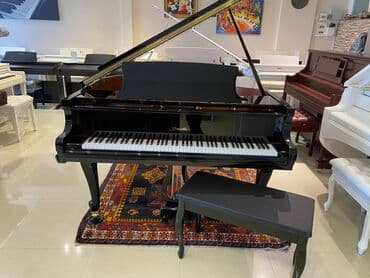 royal: Royal Musiqi Alətləri Mağazalar Şəbəkəsi sizə 12000 AZN-dən başlayaraq — 1