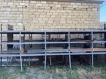 mal heyvan: Polkaa qiymet razizlawma yolu ile — 1