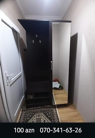 1 дверь, С зеркалом, Коричневый, Другой материал, Распашной, Прямой шкаф