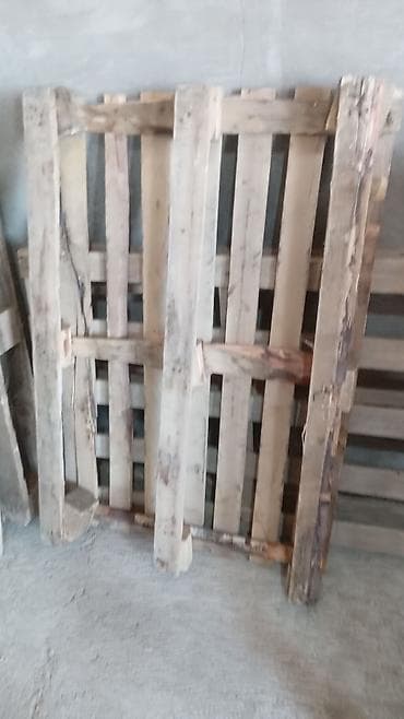 Pallet, 800 х 1200 sm lalafo.az -da Pallet, 800 х 1200 sm