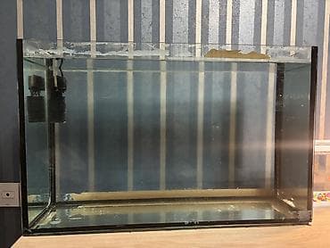 akvaryum satış: Böyük 80lt
Kiçik 6lt

Hər ikisi də satılır — 4