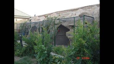 makler gence: 6 otaqlı, 550 kv. m, Yeni təmirli — 23