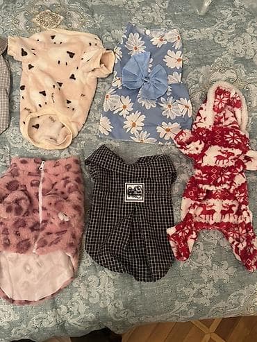 it ucun paltarlar: 5 aznden baslayan it pisik geyimleri yenidir magaza baglanib deye ucuz — 4