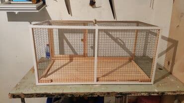 bildirçin yuvası: Dovşan,şinşila,bildirçin,cücə,xamyak,pişik,quş ve s kimi ev heyvanlari — 4