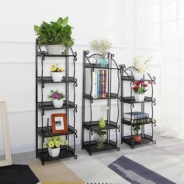 jenşen çayı qiymeti: Otaq bitkiləri — 1