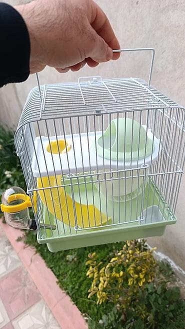 norka heyvan: Yeni 2mərtəbəli qəfəs 2xomyak ağ və boz🐭 qəfəsin içində Fırlanan çarxı — 3