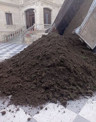 семена чиа купить в баку: Qara torpaq peyin Mehdiabad torpagi samaxi torpagi mereze torpagi — 4