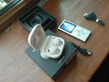 Arginanl Samsun Bultuz Qulaqcıq Enpe 4 bir yerde satılır Tep Tezedi