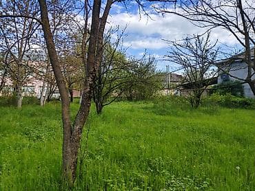 buzovnada torpaq sahesi: 10 sot, Tikinti, Kupça (Çıxarış) — 5
