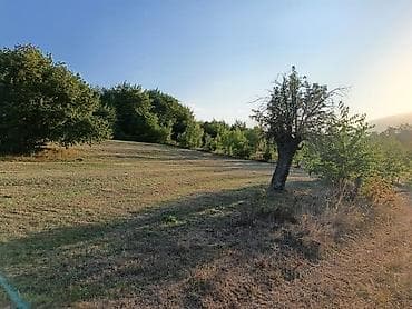 zaqatalada satilan evler: Kənd təsərrüfatı — 9