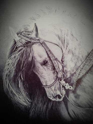 Şəkil və rəsmlər üçün çərçivələr: Salam. Gördüyünüz şəkillər hamısı öz əl işlərimdir və satışdadır — 1