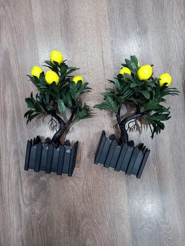 Dekorativ limon dibçekler
Türkiye istehsalı
