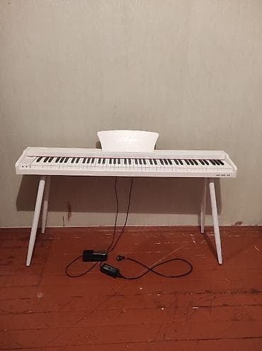 pianıno: Allegro AG-138L-88 rəqəmsal piano heç bir prablemi yoxdu istek — 1
