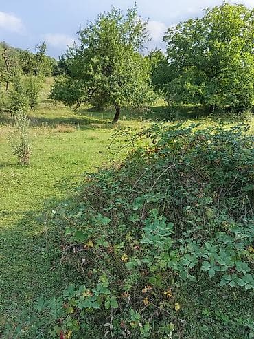 ucuz torpaq sahəsi: 17 sot, Tikinti, Maklerlər narahat etməsin, Bələdiyyə — 1