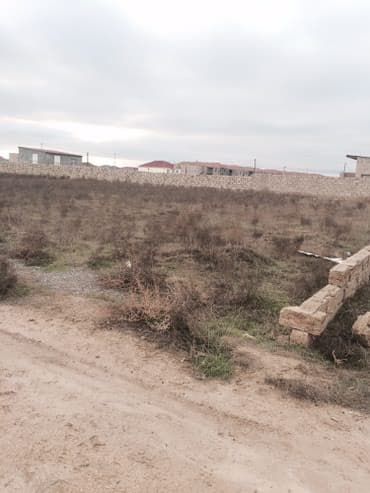 sabuncu kredit: Tikinti — 3