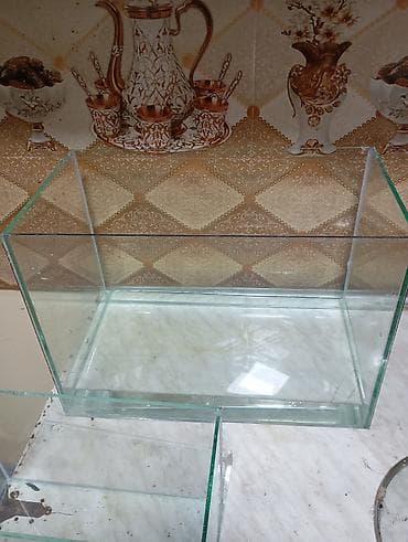 itin evi nece adlanir: Şüşə akvarium 46x33x25 yeni - Material: şəffaf, kənarları cilalanmış — 1