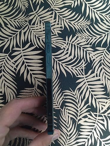 apple 12 pro max: IPhone 12 Pro, 256 GB, Pacific Blue, Face ID — 3