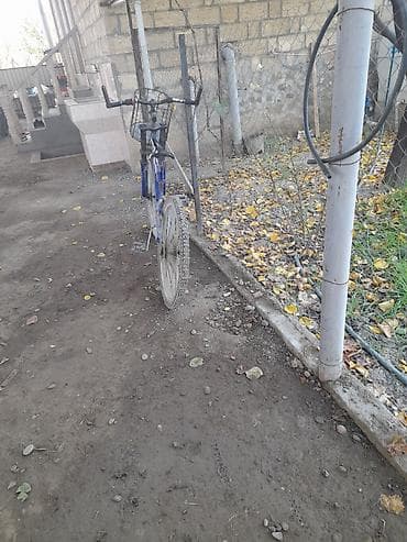 sədərək velosiped satışı 2025: Məhsul: “Olympia” markalı uşaq/yeniyetmə velosipedi – ehtiyat — 4