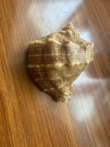 говорящие мягкие игрушки: Rakuşka — 3