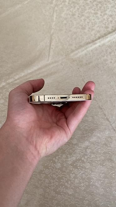 ip 9 plus: IPhone 13 Pro Max, 128 GB, Qızılı — 5