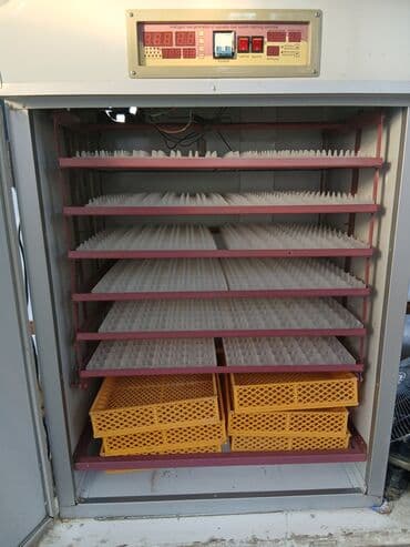 Süd sağan aparatlar: 1100 yumurta, Çin, Tam avtomat — 4