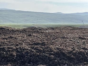 koz ve komur arasindaki ferq: Kənd təsərrüfatı üçün təbii üzvi gübrə – iri həcmli partiyalar - — 1