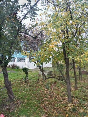 mingeçevir kiraye ev: 4 otaqlı, 110 kv. m, Təmirsiz — 14