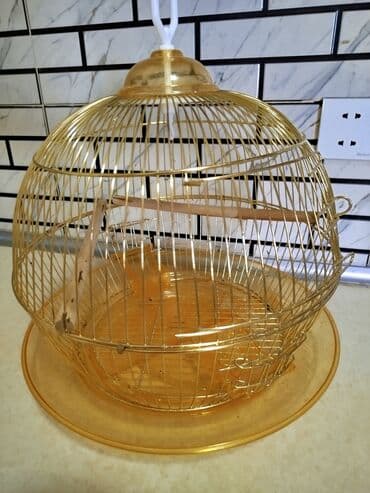 Qızılı rəngdə dairəvi quş qəfəsi - Material: metal tel konstruksiya