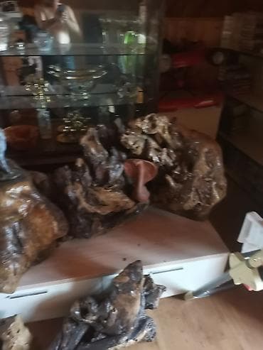 Taxda eşyalari dekor agac quruları — 2