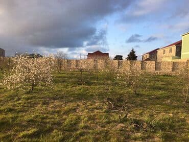 ist petrol tbilisi prospekti: 25 sot, Tikinti, Makler, Kupça (Çıxarış) — 6