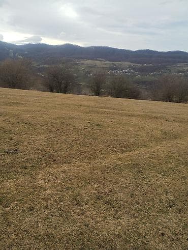 turkanda heyet evleri 2020: Kənd təsərrüfatı — 2