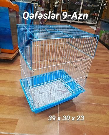 quş üçün qəfəs: Quş qəfəsləri – 9 AZN Valnisti papuqaylar, Bülbüllər, Cunqarik — 1