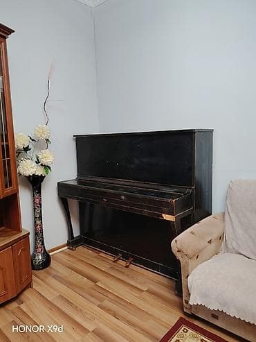 Piano, Belarus, Akustik, İşlənmiş, Ünvandan götürmə