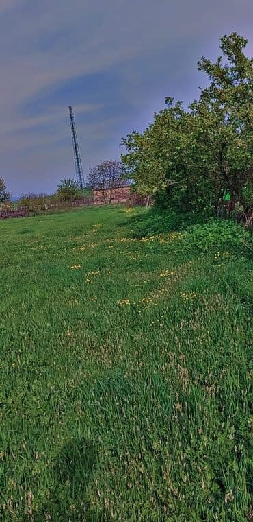 аренда земли под шиномонтаж: 10 соток Для сельского хозяйства, Газ, Электричество, Водопровод — 11