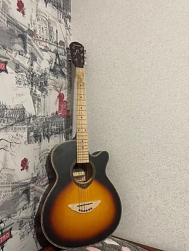 CD, DVD disklər və kassetlər: Akustik gitara, 6 sim — 1