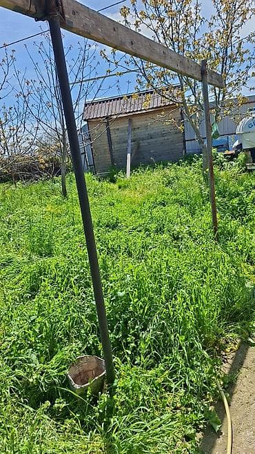 torpaq sekide: 10 sot, Kənd təsərrüfatı, Mülkiyyətçi, Bələdiyyə — 2