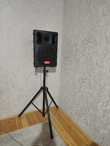 elektrik su qızdırıcıları ariston: Kolonka, Növ - Akustik, rəng - Qara — 4