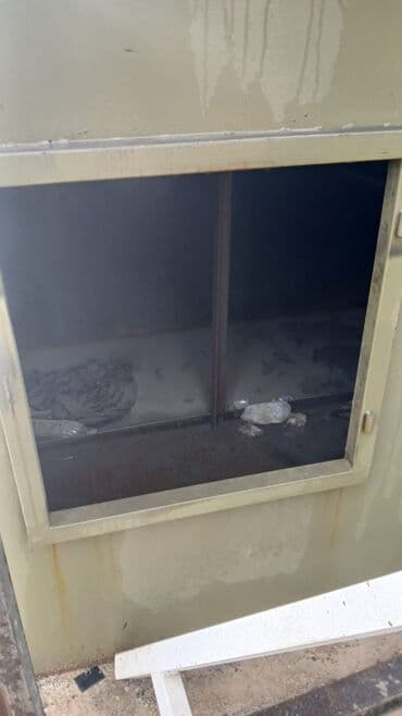 havalandırma zontu: Metal konteyner/qutu – qalın dəmirdən hazırlanmış, üstü rənglənmiş — 2