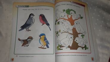 6 ci sinif rus dili kitabi pdf yukle: Uwaqlar ucun rus dilinde eylenceli kitab. Hem rengleme, hem — 2