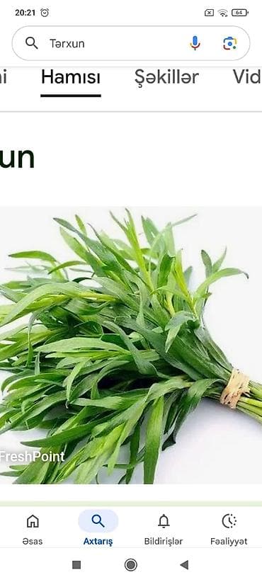 Topdan terxun satilir super terxundu destesi 0.60 qep lalafo.az -da Topdan terxun satilir super terxundu destesi 0.60 qep