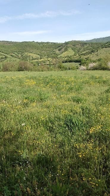 ehmedlide ipoteka evler: Tikinti — 3